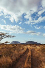 Landscape in Kenya