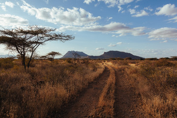 Fototapeta premium Landscape in Kenya