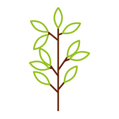 spring branch with green leaves natural vector illustration color line design