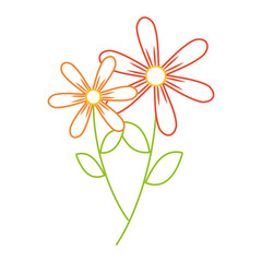two flowers decorative spring image vector illustration color line design