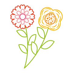 two flowers decorative spring image vector illustration color line design