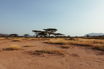 Landscape in Kenya - 189565296