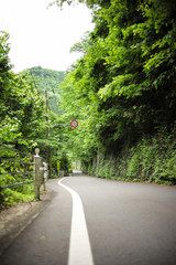 Fototapeta na wymiar Okutama Japanese National Park 