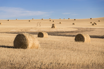 84 577 Bale Farm Wall Murals Canvas Prints Stickers Wallsheaven