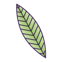 green leaf nature foliage botanical vector illustration drawing design