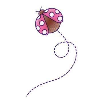 cute flying ladybug animal cartoon vector illustration drawing design