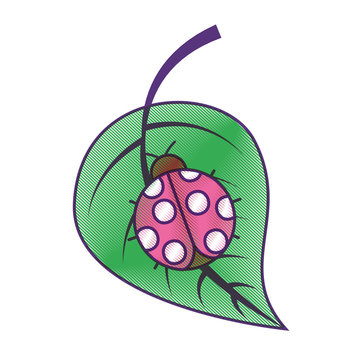 ladybug on leaf spring time vector illustration drawing design