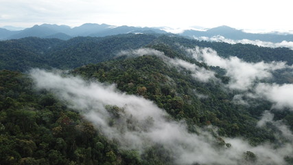 Rainforest. Rain forest mountains and clouds aerial landscape