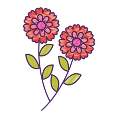 two flowers decorative spring image vector illustration drawing design