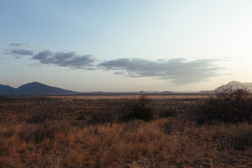 Landscape in Kenya - 189567866