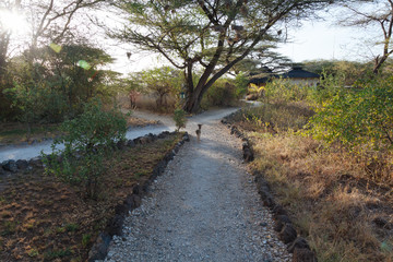 Landscape in Kenya