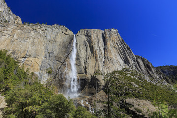 Beauty of Yosemite