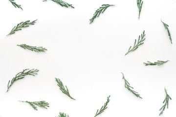 Pine leaf on white background,.Flat lay