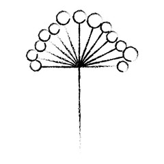 branch with berries fruits botanic vector illustration sketch design