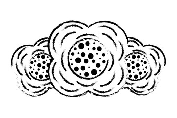 three flower natural decoration ornament image vector illustration sketch design