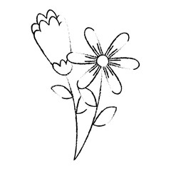 Obraz premium two flowers decorative spring image vector illustration sketch design