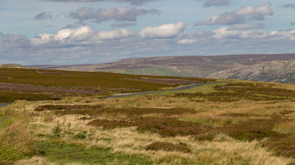 Fototapeta na wymiar Yorkshire Dales landscape, seen from Hargill Lane between Castle Bolton and Grinton, North Yorkshire, UK