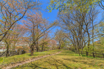 春の懐古園の南の丸跡の風景