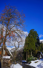 Shirakawago Historic Village in Gifu, Japan