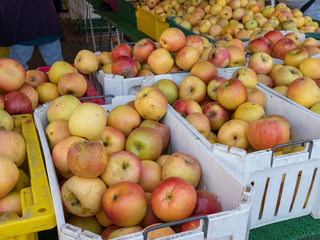 Apples sold at farmer's market