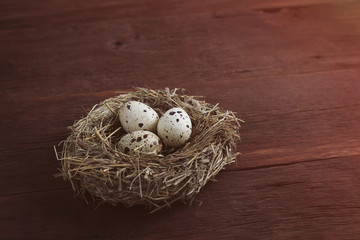 Quail eggs in a nest on a wooden background. The village concept. Glare effect added