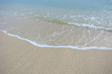 beach and tropical sea