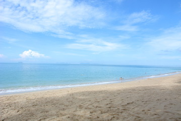 beach and tropical sea