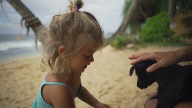 Baby girl kiss small black puppy at sunny beach rapid slow motion