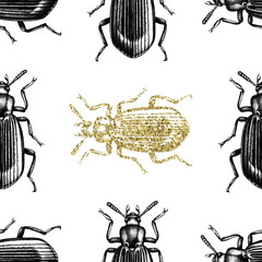 Darkling beetle seamless pattern. Black and gold bugs on white background. Hand drawn insects illustrations collection