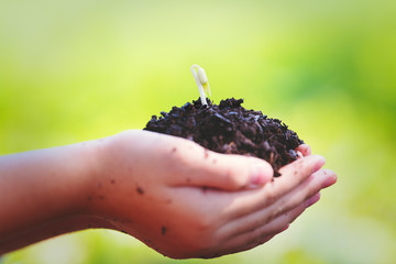 Young asian woman holding young plant with soil,growing tree,support concept.