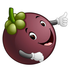 mangosteen with face