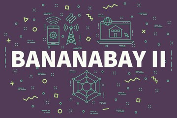 Conceptual business illustration with the words bananabay ii