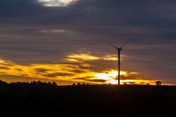 Obraz premium Wind turbines in the evening