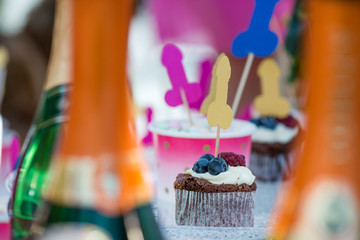 Mature content. Cheerful bride and bridesmaids party. Bottles of champagne and cupcakes with...