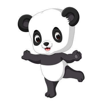 Cute funny baby panda 
