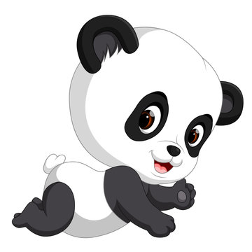 Cute funny baby panda 