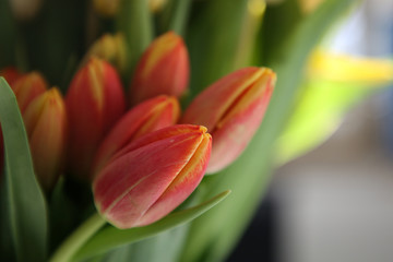 Tulpenstrauss