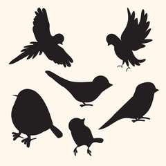 Birds silhouettes collection