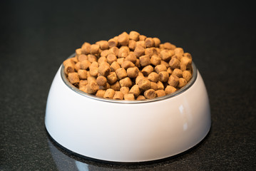 Dog food in bowl 