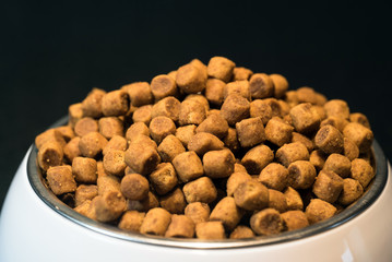 Dog food in bowl 