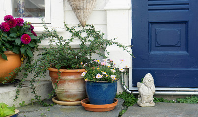 Decor of norwegian house, pots with flowers near wooden door, old town, Gamle Stavanger, sunny day, Norway