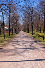 Long Path At The Park