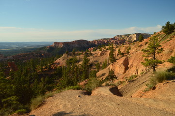 Beautiful Views From The Highest Point In Bryce Canyon. Firs and Geological Formations. Geology. Travel.Nature. June 25, 2017. Bryce Canyon. Utah. Arizona. EEUU. USA.