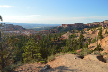 Beautiful Views From The Highest Point In Bryce Canyon. Firs and Geological Formations. Geology. Travel.Nature. June 25, 2017. Bryce Canyon. Utah. Arizona. EEUU. USA.