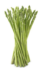 Fresh asparagus bunch isolated on white background