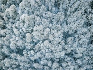 overhead top view of snowy winter forest
