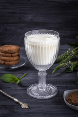 Vintage glass of milk, chocolate cookies and flowers on a dark background. Free space for text