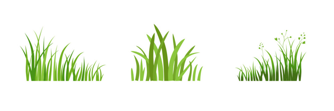 Element Eco green grass