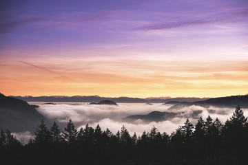 Fototapeta na wymiar Sunset over fog