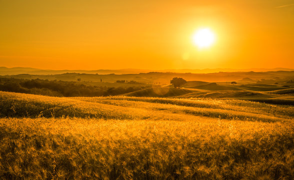 Golden tuscan sunset © Maciej Czekajewski